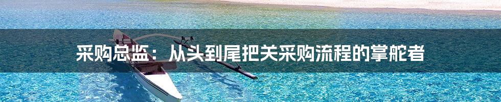 采购总监:从头到尾把关采购流程的掌舵者