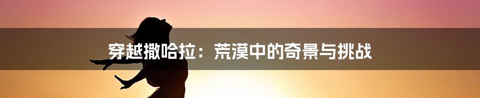 穿越撒哈拉:荒漠中的奇景与挑战