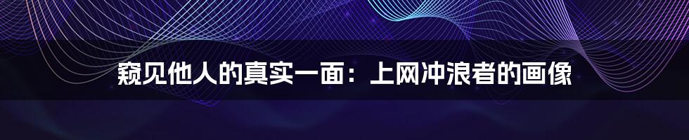 窥见他人的真实一面:上网冲浪者的画像