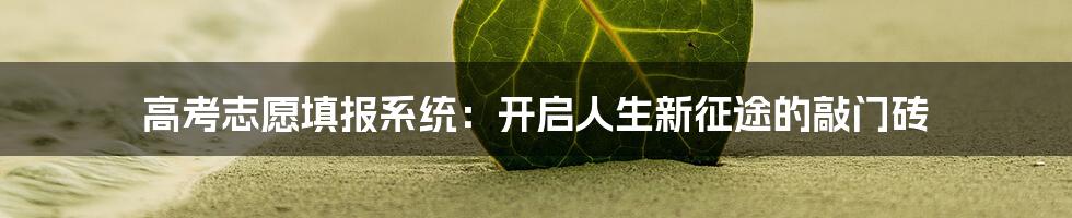 高考志愿填报系统:开启人生新征途的敲门砖