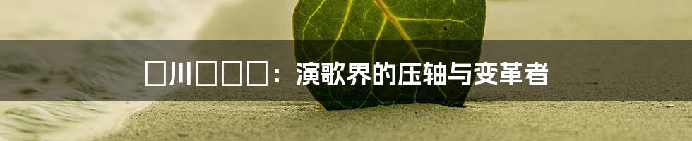 氷川きよし:演歌界的压轴与变革者