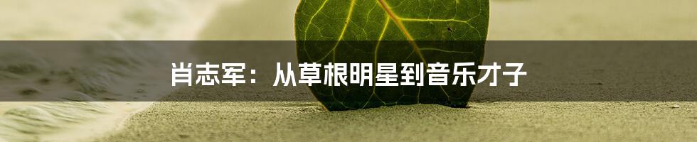 肖志军：从草根明星到音乐才子
