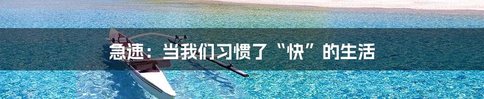 急速:当我们习惯了“快”的生活
