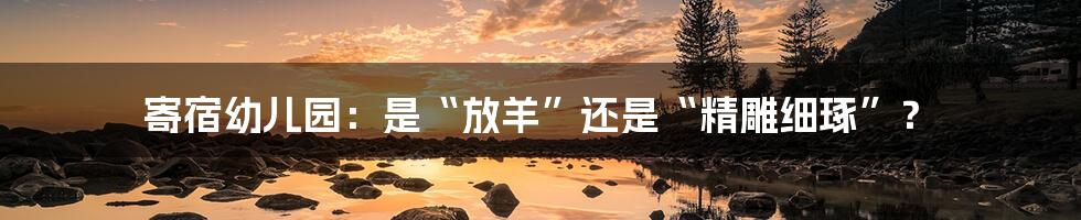 寄宿幼儿园:是“放羊”还是“精雕细琢”?