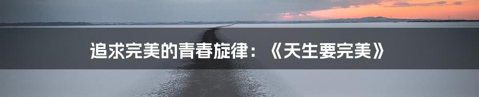 追求完美的青春旋律:《天生要完美》
