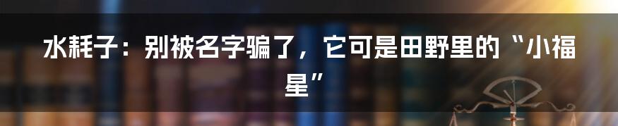 水耗子：别被名字骗了，它可是田野里的“小福星”