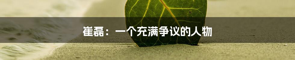 崔磊:一个充满争议的人物
