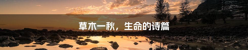 草木一秋,生命的诗篇