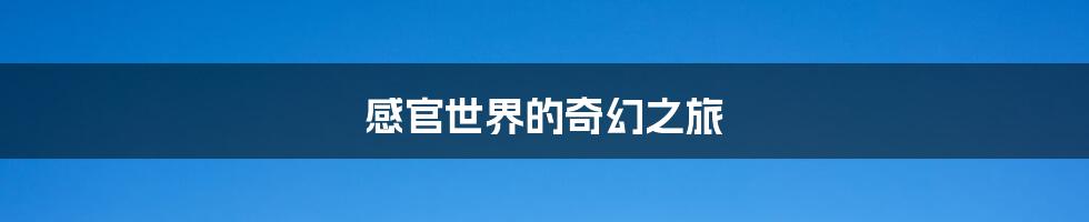 感官世界的奇幻之旅