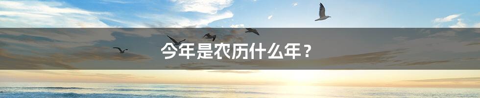 今年是农历什么年?