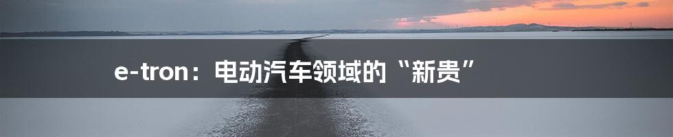 e-tron:电动汽车领域的“新贵”