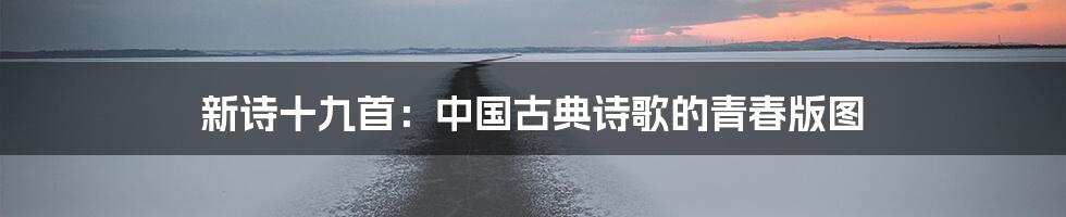 新诗十九首:中国古典诗歌的青春版图