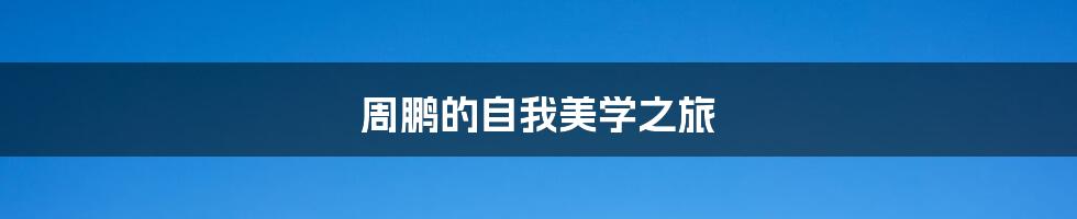 周鹏的自我美学之旅