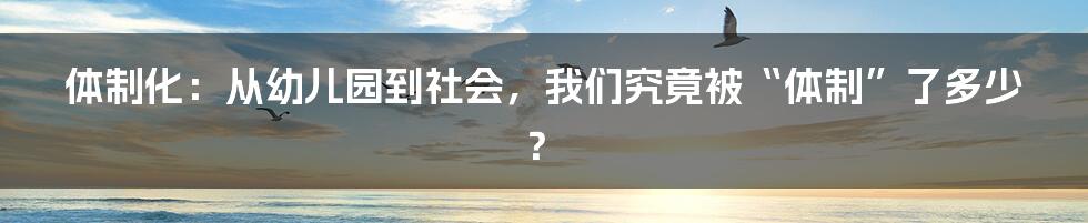 体制化：从幼儿园到社会，我们究竟被“体制”了多少？