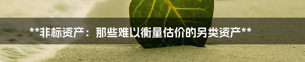 **非标资产：那些难以衡量估价的另类资产**