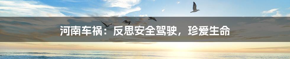 河南车祸:反思安全驾驶,珍爱生命