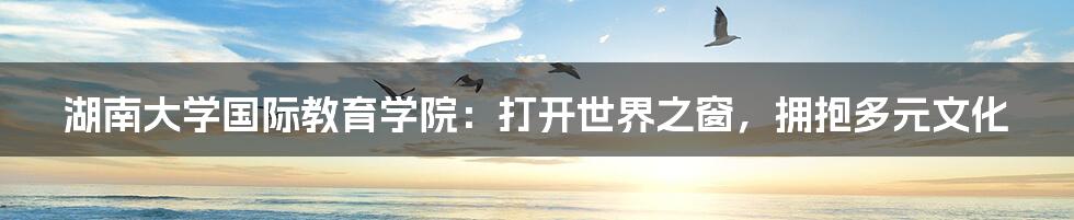 湖南大学国际教育学院:打开世界之窗,拥抱多元文化