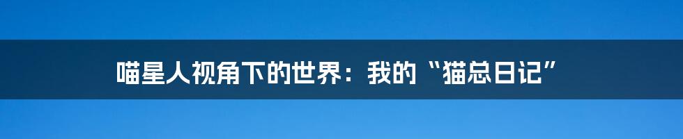 喵星人视角下的世界:我的“猫总日记”