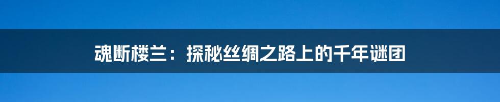 魂断楼兰：探秘丝绸之路上的千年谜团