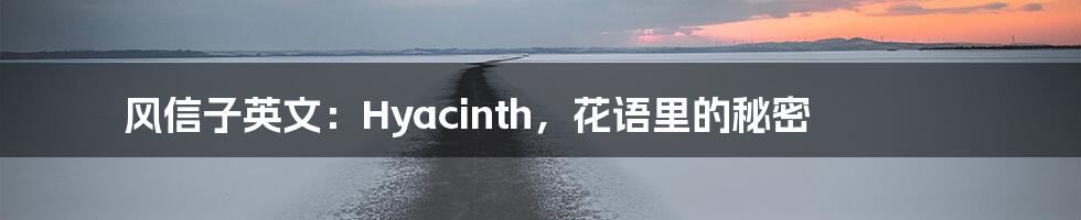 风信子英文:Hyacinth,花语里的秘密