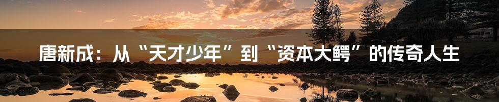 唐新成:从“天才少年”到“资本大鳄”的传奇人生