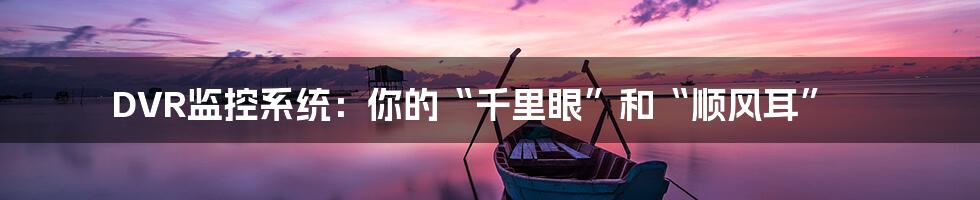 DVR监控系统：你的“千里眼”和“顺风耳”