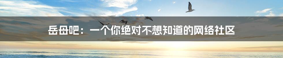 岳母吧:一个你绝对不想知道的网络社区