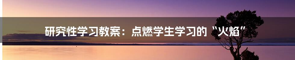 研究性学习教案:点燃学生学习的“火焰”