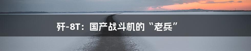 歼-8T:国产战斗机的“老兵”