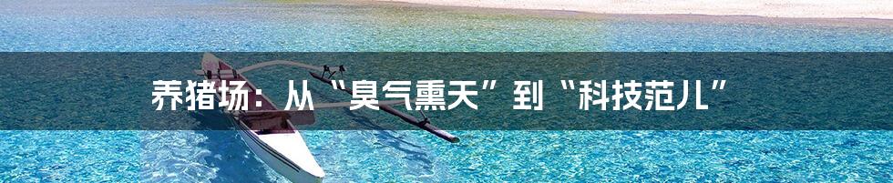 养猪场:从“臭气熏天”到“科技范儿”