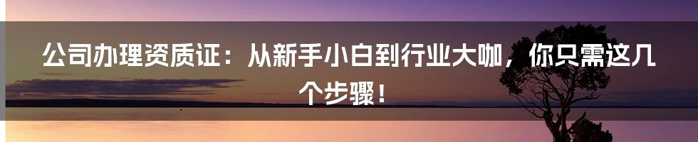 公司办理资质证:从新手小白到行业大咖,你只需这几个步骤!