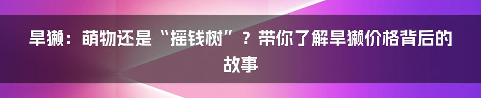 旱獭:萌物还是“摇钱树”?带你了解旱獭价格背后的故事