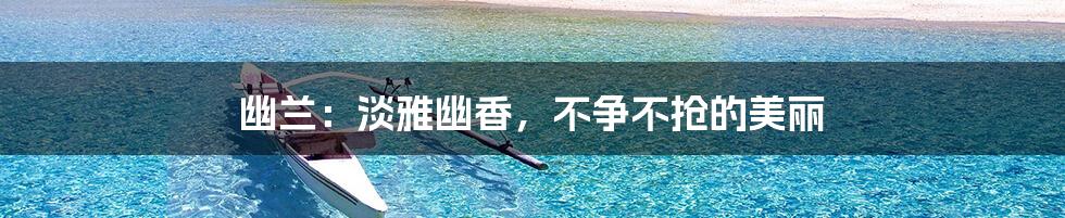 幽兰:淡雅幽香,不争不抢的美丽