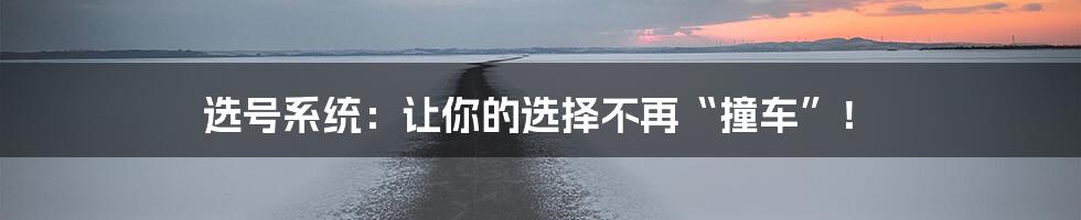 选号系统:让你的选择不再“撞车”!
