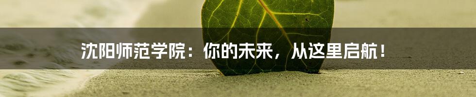 沈阳师范学院:你的未来,从这里启航!