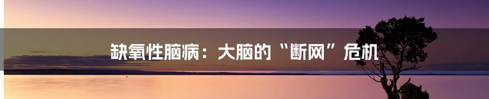 缺氧性脑病:大脑的“断网”危机