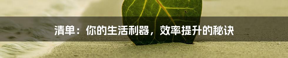 清单：你的生活利器，效率提升的秘诀