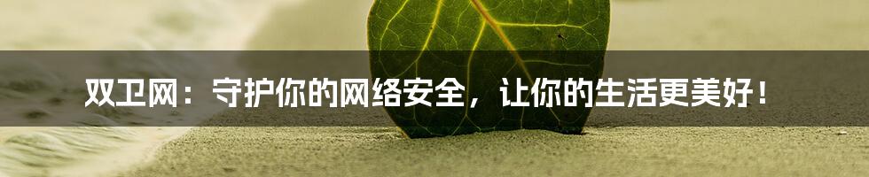 双卫网：守护你的网络安全，让你的生活更美好！