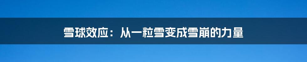 雪球效应:从一粒雪变成雪崩的力量