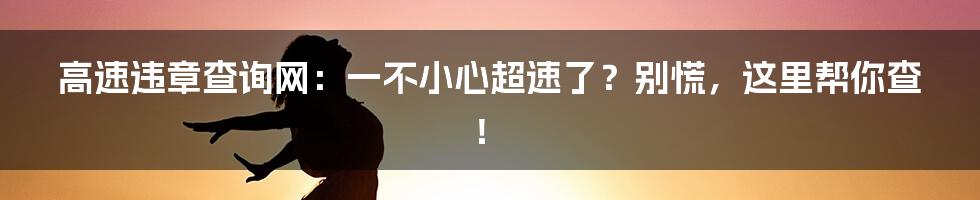 高速违章查询网:一不小心超速了?别慌,这里帮你查!