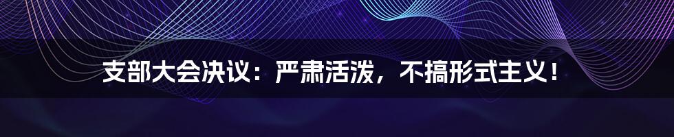 支部大会决议:严肃活泼,不搞形式主义!