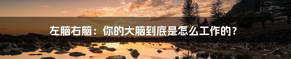 左脑右脑:你的大脑到底是怎么工作的?