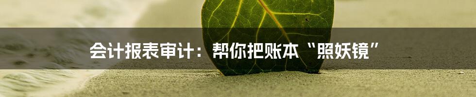 会计报表审计：帮你把账本“照妖镜”