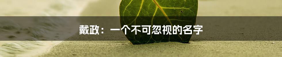 戴政：一个不可忽视的名字