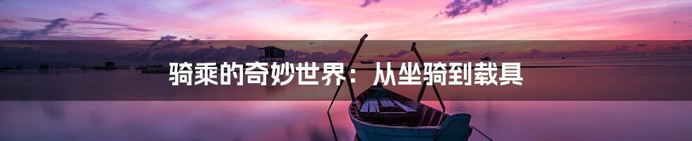 骑乘的奇妙世界:从坐骑到载具