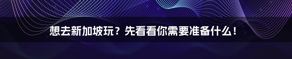 想去新加坡玩？先看看你需要准备什么！