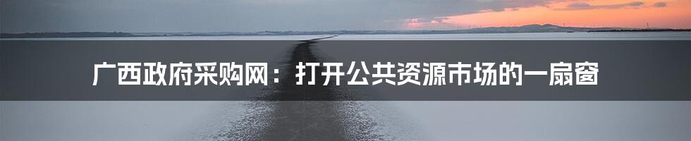 广西政府采购网:打开公共资源市场的一扇窗