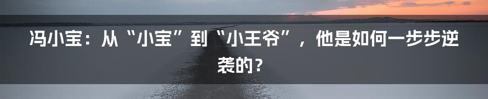 冯小宝:从“小宝”到“小王爷”,他是如何一步步逆袭的?