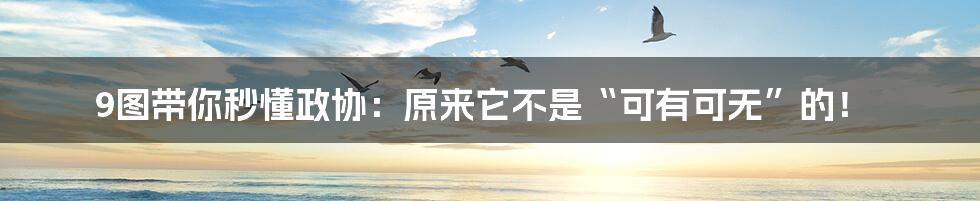 9图带你秒懂政协：原来它不是“可有可无”的！