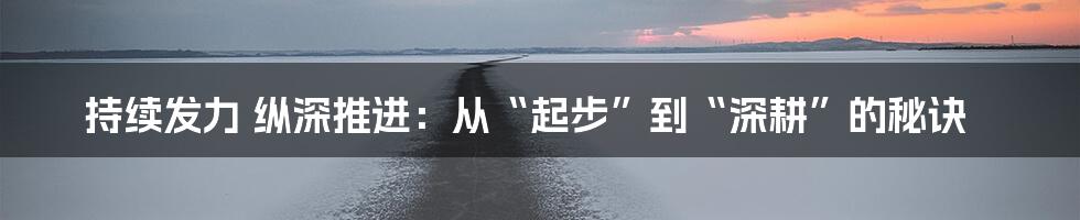 持续发力 纵深推进:从“起步”到“深耕”的秘诀